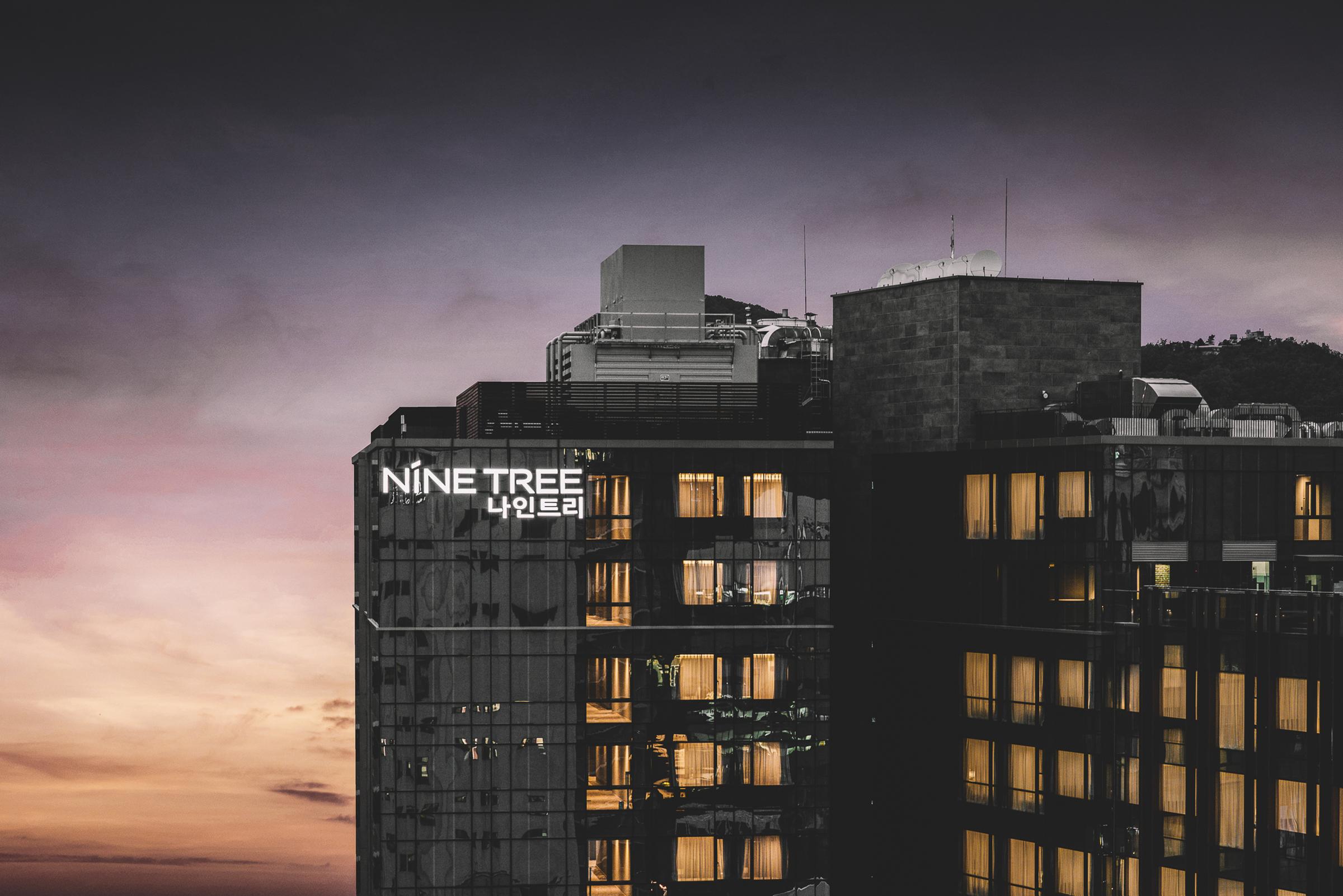 Nine Tree Premier Hotel Insadong Myeongdong Σεούλ Εξωτερικό φωτογραφία